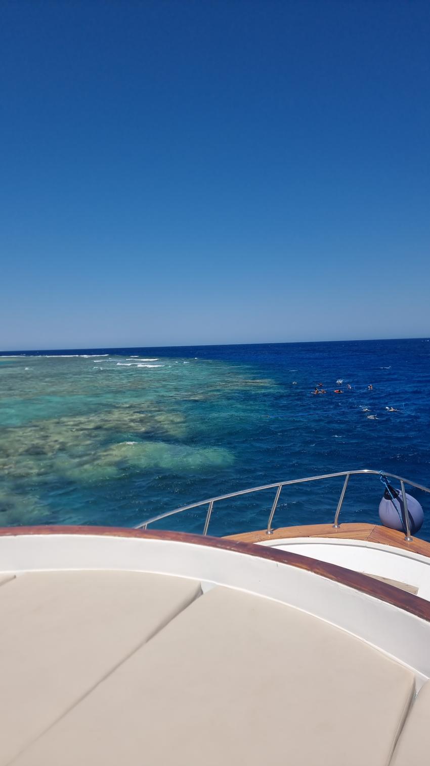 Tauchfreunde Hurghada, Ägypten, Hurghada