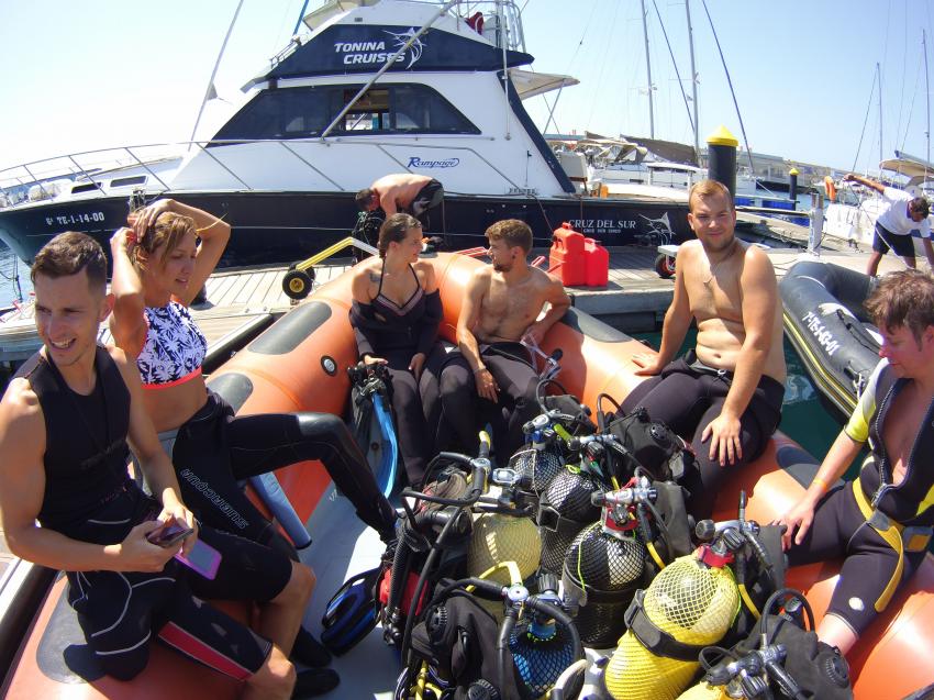 Bootstauchgang , tauchen Teneriffa oceantrek, Adeje Tauchclub Ocean Trek, Teneriffa, Spanien, Kanaren (Kanarische Inseln)
