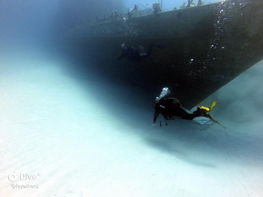 P31, Front, Dive Vision Malta, Labranda Riviera Hotel, Malta, Malta - Hauptinsel