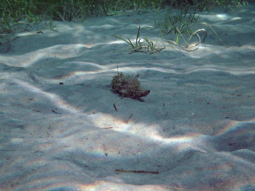 Halkidiki - Athos, Halkidiki - Athos,Griechenland