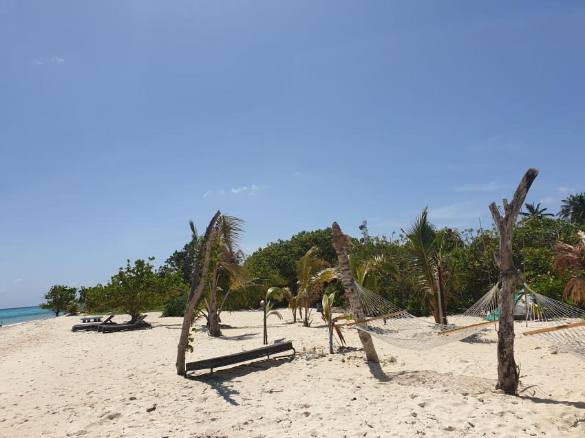 Shamar Divers Maamigili, Malediven