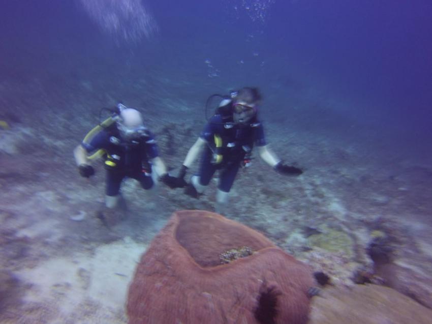 3W Dive, Gili Air, Indonesien, Allgemein