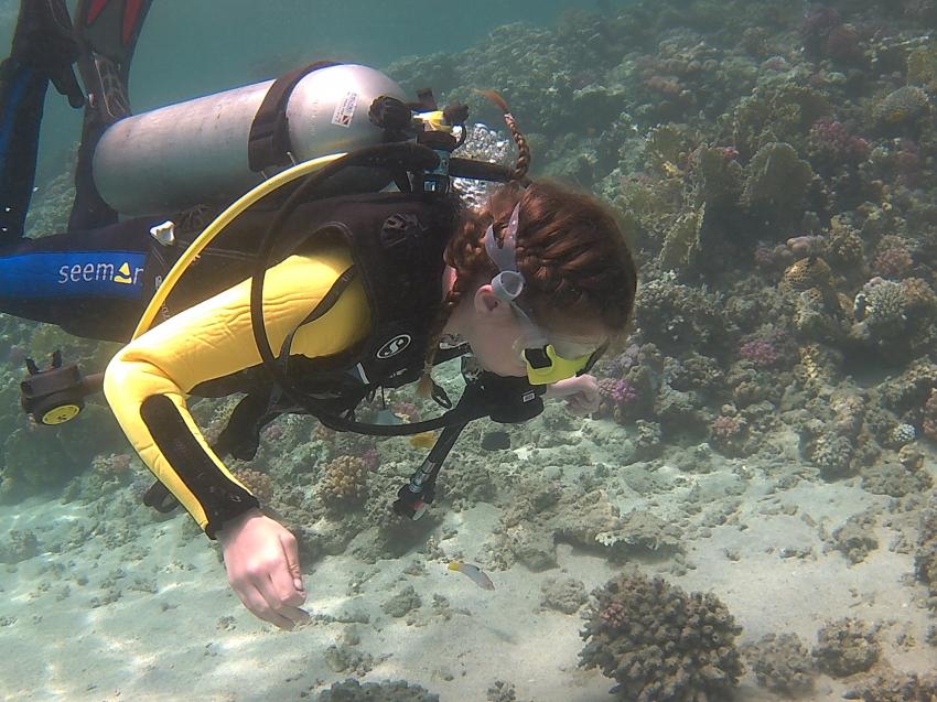 Erster TG im Roten Meer, Aquarium, Scuba World Divers El Quseir, SENTIDO Oriental Dream Resort, Ägypten, El Quseir bis Port Ghalib