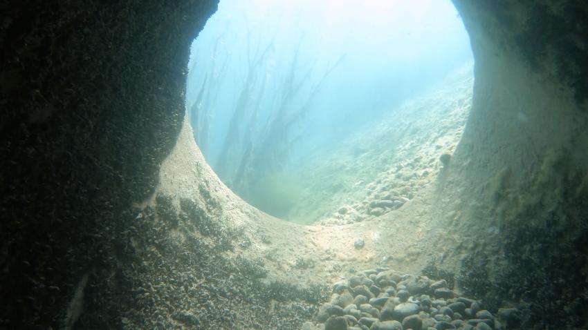 La Graviere Du Fort, Straßburg, Frankreich