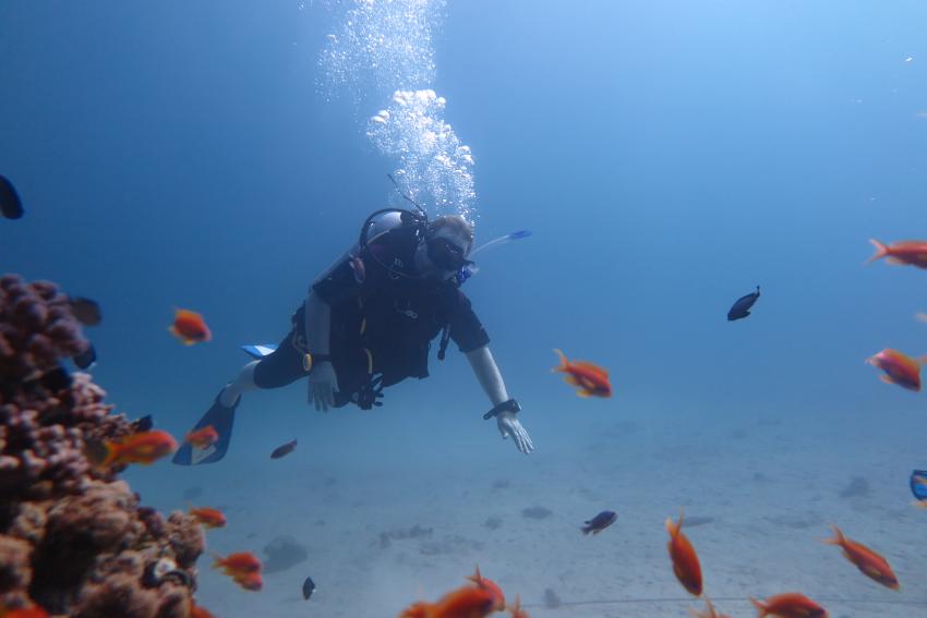 Scuba World Divers Makadi Bay_4, Tauchen Ägypten Makadi Bay, Scuba World Divers Makadi Bay, Ägypten, Hurghada
