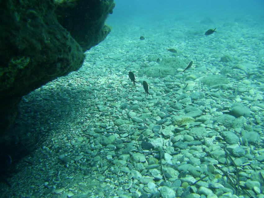 Arian Diving Center, Kos, Kardamena, Griechenland