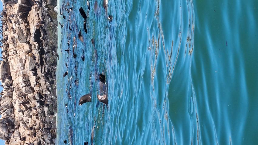 Expert-Tours , Südafrika und die Welt!, Südafrika