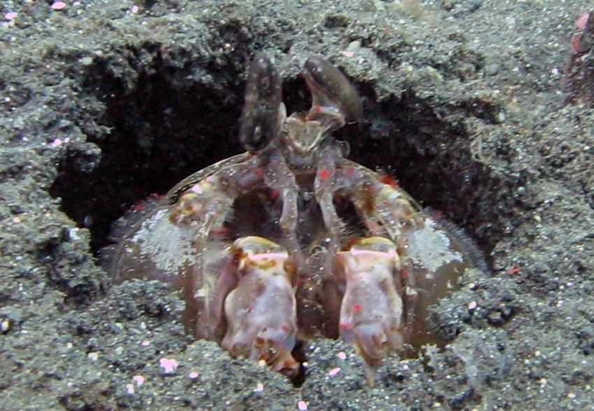 U.S.A.T. Liberty, Tulamben, Liberty Wreck,Tulamben,Indonesien