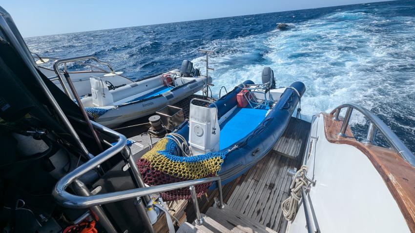 große Zodiaks mit Leiter, M/Y Almonda, Saudi-Arabien