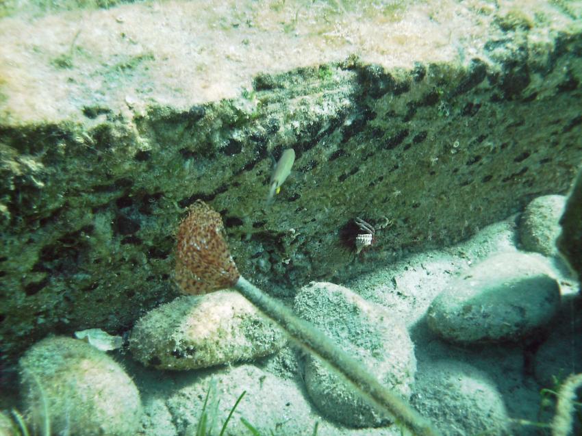 Halkidiki - Athos, Halkidiki - Athos,Griechenland