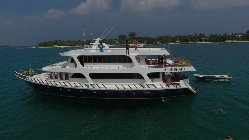 MV Blue Shark Hot Tours Maldives, Malediven