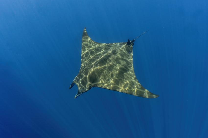 Water & Wind, Portugal, Azoren