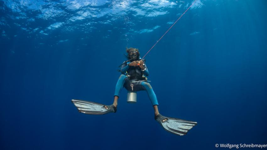 Auftauchen, Omadhoo; Ari Atoll Divers, Ari Atoll Divers, Malediven