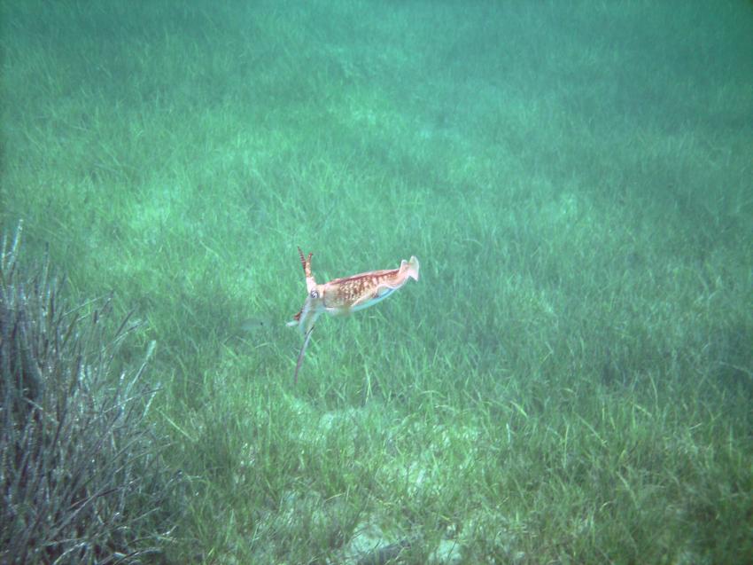Halkidiki - Athos, Halkidiki - Athos,Griechenland