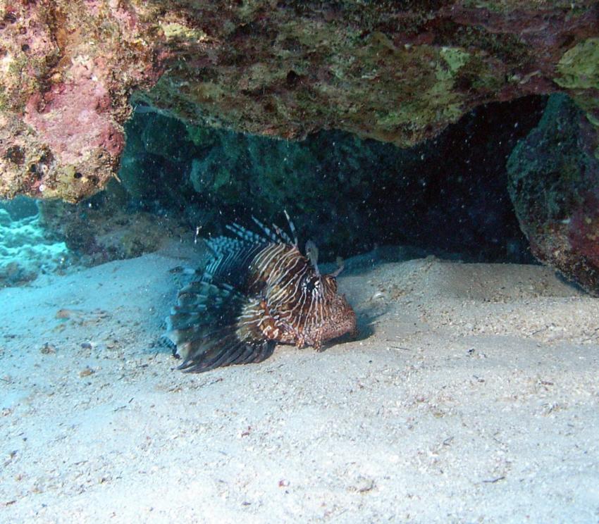 Safaga 01/2011 Teil 2, Safaga - allgemein,Ägypten