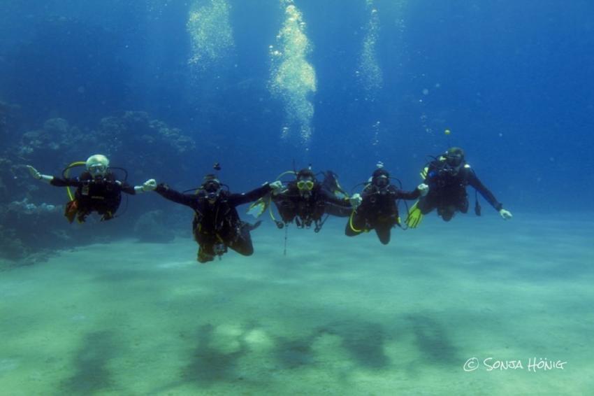 TG Sheik Malik auf der Suche nach dem Dugong, diving.DE Akassia, Ägypten, El Quseir bis Port Ghalib