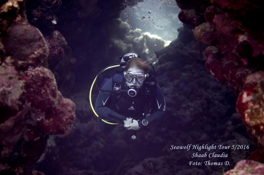 Labyrinth bei Shaab Claudio, Seawolf Diving Safari Felo Highlight Tour, M/Y Seawolf Felo, Ägypten
