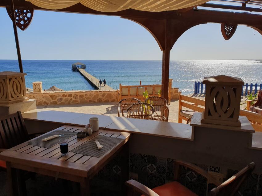 Ducks Diving Quesier at Rohanou Beach Resort, Ägypten, El Quseir bis Port Ghalib