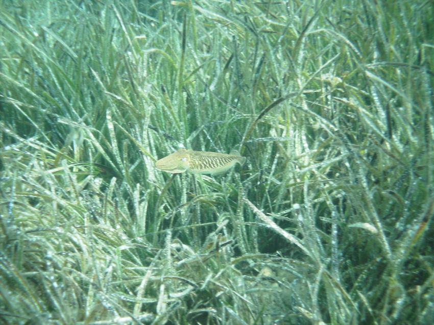 Halkidiki - Athos, Halkidiki - Athos,Griechenland