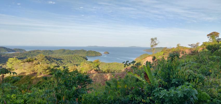 The Ark Divers, Pixvae, Panama