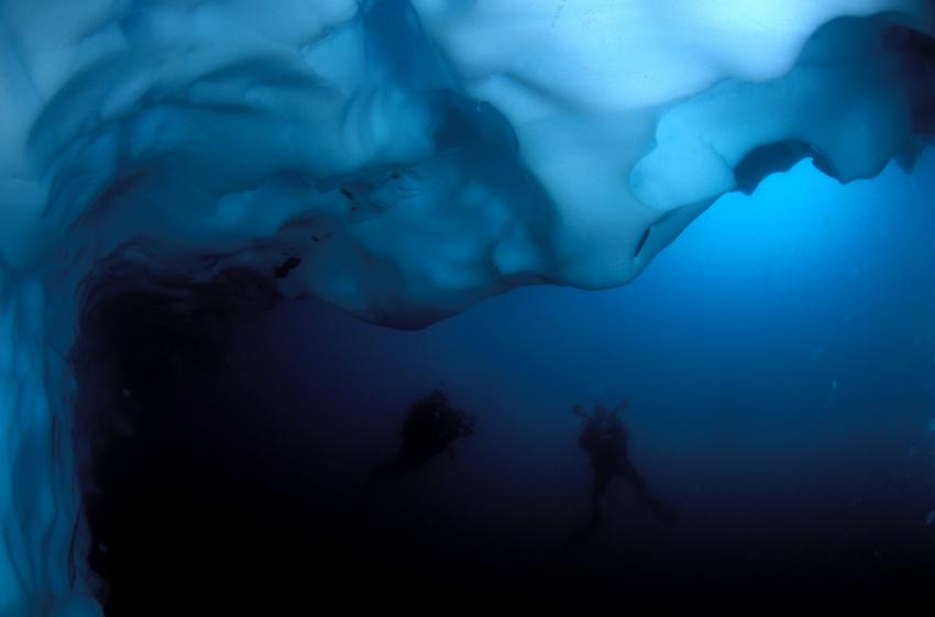 Oceanwide Expeditions Diving