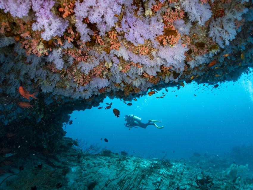 Euro-Divers Alila Kothaifaru, Malediven