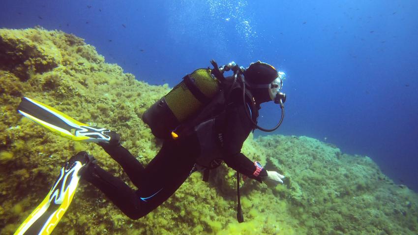Diving Calvi a Piaghja (Korsika), Frankreich