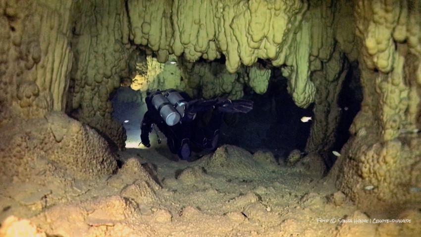 Cenote-Diving.Com (diving.DE Cenotes), Mexiko