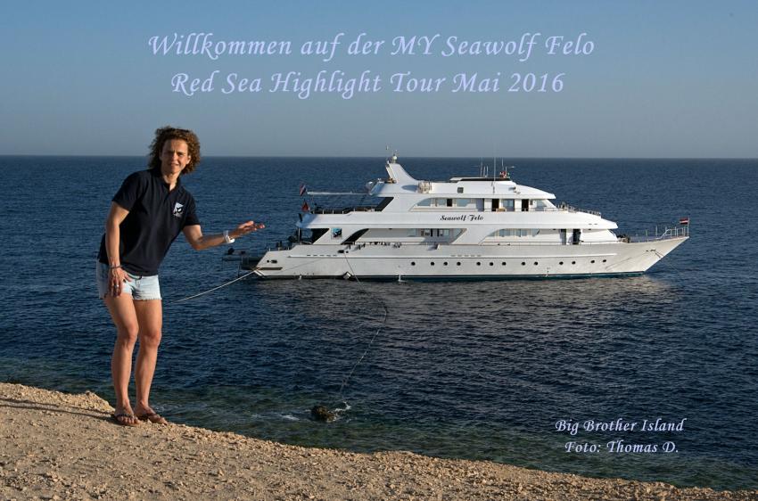 Willkommen an Bord der Seawolf Felo, Seawolf Diving Safari Felo Highlight Tour, M/Y Seawolf Felo, Ägypten
