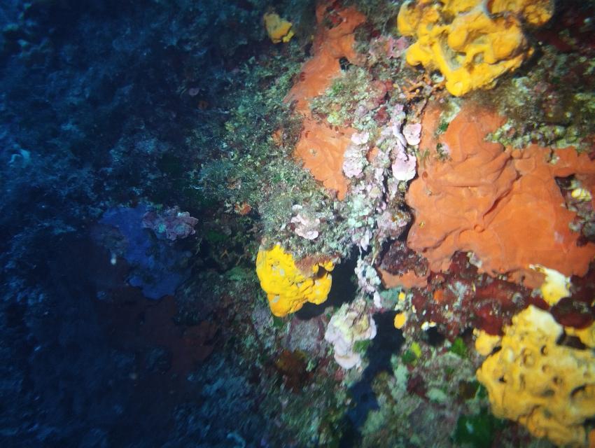 Achilleon Diving Center, Paleokastritsa, Korfu, Griechenland