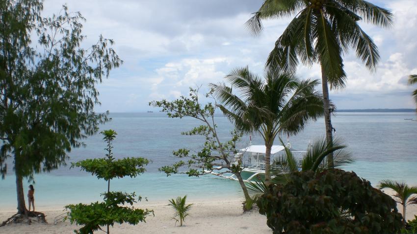 Hippocampus Beach Resort, Malapascua (Cebu)