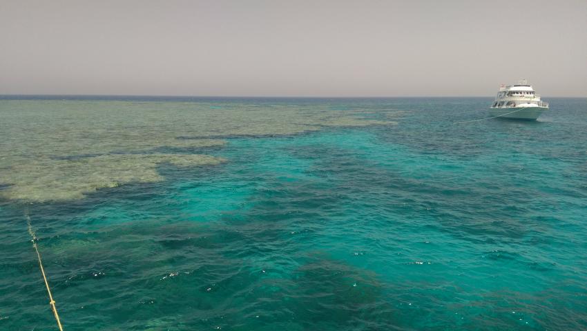 Middle Reef, Ducks Diving Safaga, Ägypten, Safaga