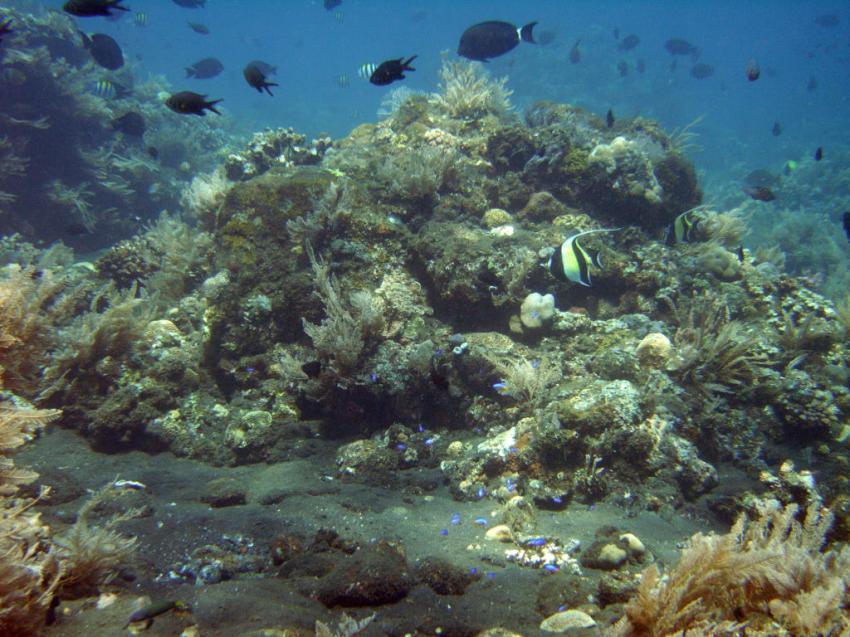 Bali Alma Batu, Alam Batu,Indonesien