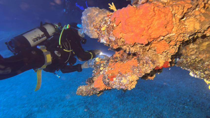 Aquarius, Capo Coda Cavallo, Italien, Sardinien