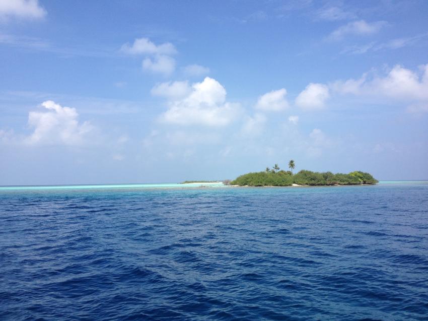 Amba, Malediven