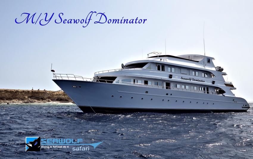 Seawolf Dominator, Seawolf, Dominator, Safari, Sudan, Safariboot, Tauchen, M/Y Seawolf Dominator, Ägypten