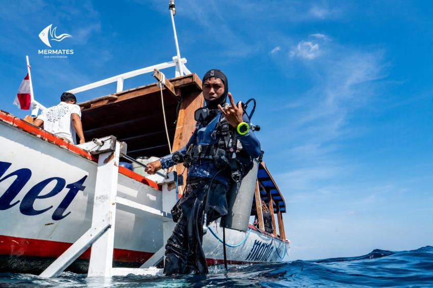 MALAYSIA DIVING TRIP, mermates.club, Saudi-Arabien