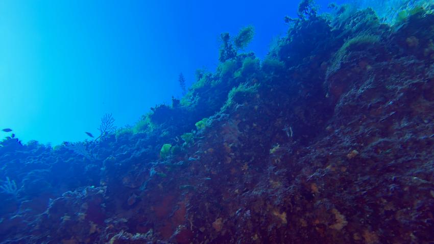 Aquarius, Capo Coda Cavallo, Italien, Sardinien