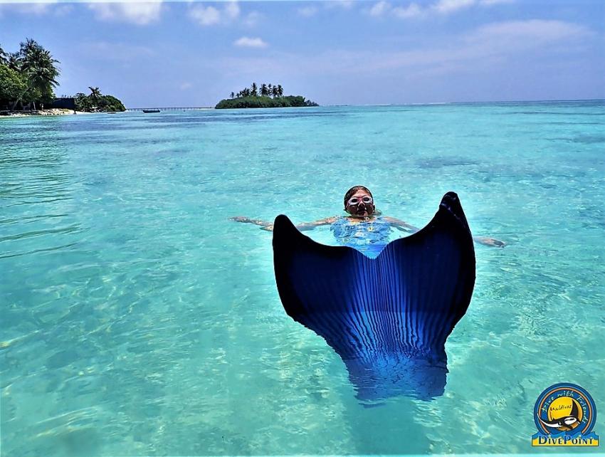 Marmaid, DivePoint Guraidhoo, Malediven