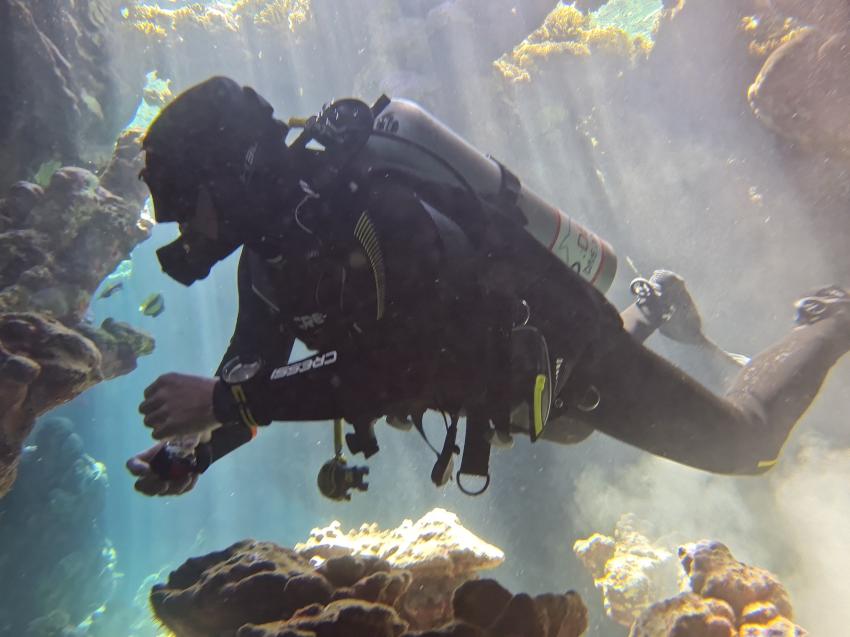 Reefcave, diving.DE Abu Dabab, El Malikia Resort, Ägypten, Marsa Alam und südlich