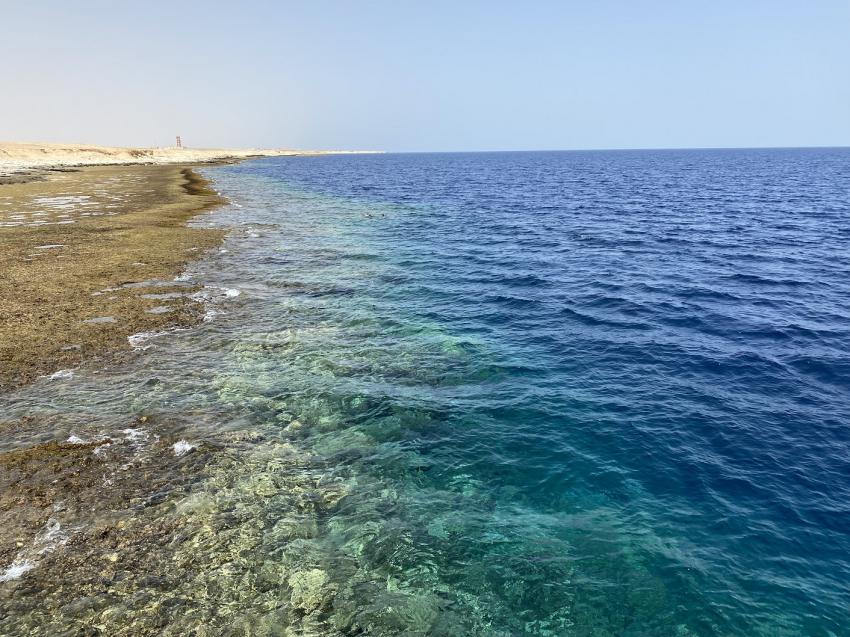 Hausriff Life Coral Beach Resort 3, Deep Ocean Blue Diving Center, Ägypten, El Quseir bis Port Ghalib