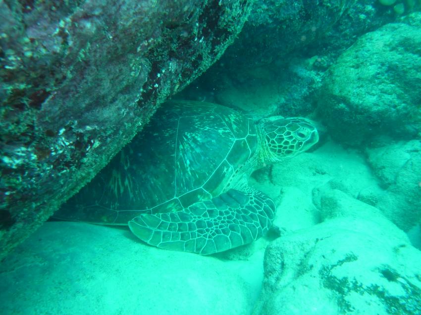 Maritim Crystals Diving Centre , Mauritius