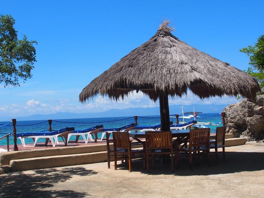 Sampaguita - Nicht-Taucher lieben das Sonnen-/Badedeck, Entspannen Schwimmen Schnorcheln Natur, Sampaguita Resort Hotel, Tongo Point, Maolboal, Cebu Island, Philippinen