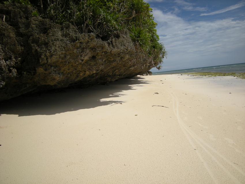 Strand auf Bohol