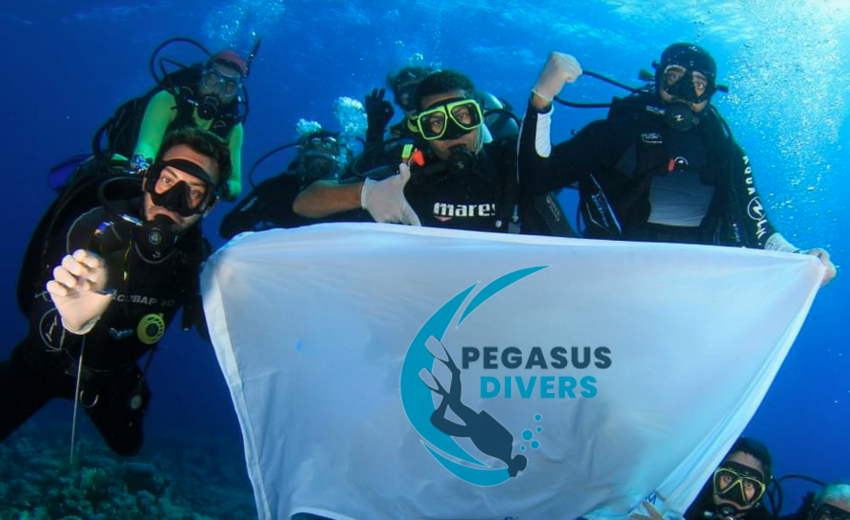 Pegasus Divers, El Quseir, Ägypten, Marsa Alam und südlich