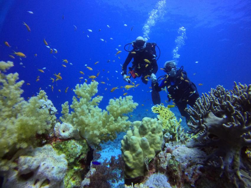 Sunshine-Divers Mary&Klaus, Sharm El Sheikh, Ägypten, Sinai-Süd bis Nabq