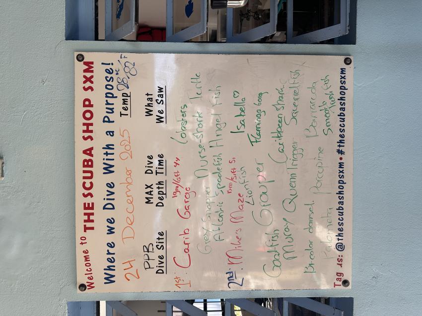 The Scuba Shop Sint Maarten, Niederländische Antillen, St. Martin