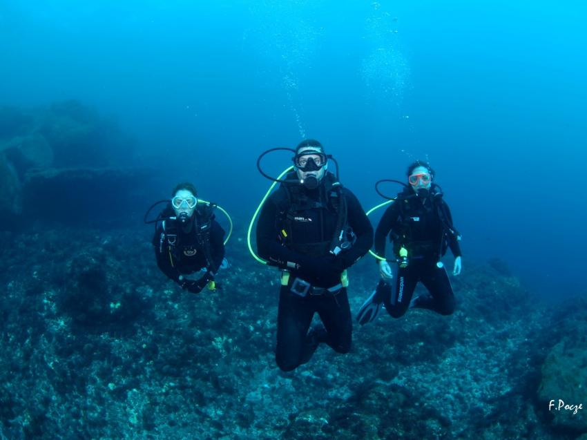 Teneriffa - Ecological Divers, Teneriffa,Spanien