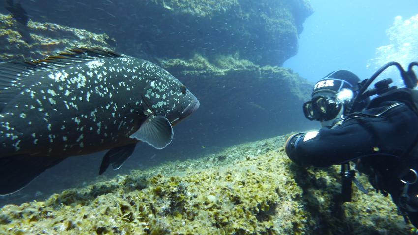 Extra Divers El Hierro, Spanien, Kanarische Inseln