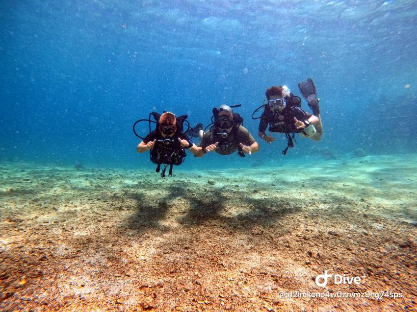 Extra Divers - Sentido Akassia Beach Resort & Calimera Akassia Swiss Resort, Ägypten, El Quseir bis Port Ghalib